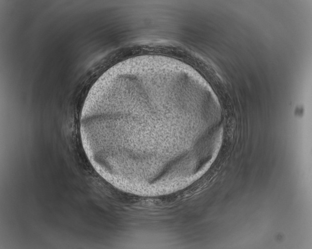 X0000116810966201001081352