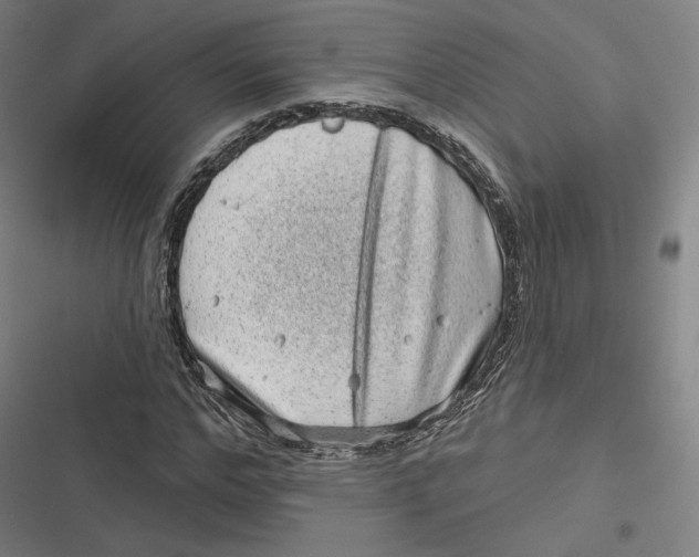 X0000116810968201001081352