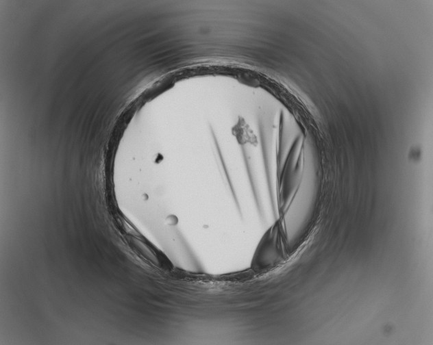 X0000116810969201001081352