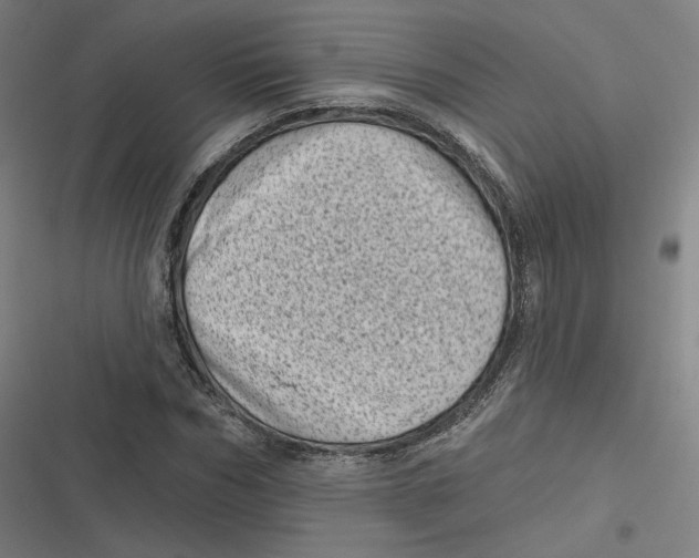 X0000116810970201001081352