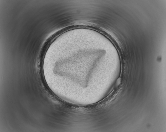 X0000116810971201001081352