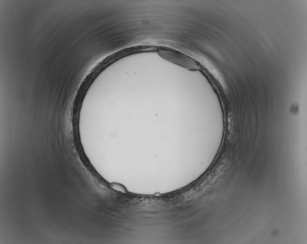 X0000116810972201001081352