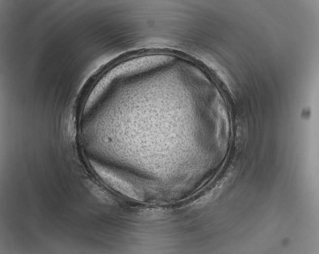 X0000116810973201001081352