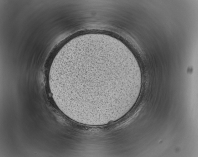 X0000116810974201001081352