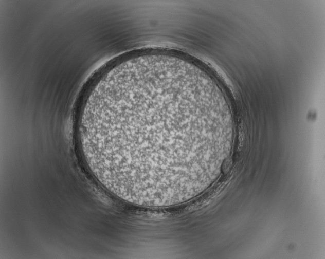 X0000116810975201001081352