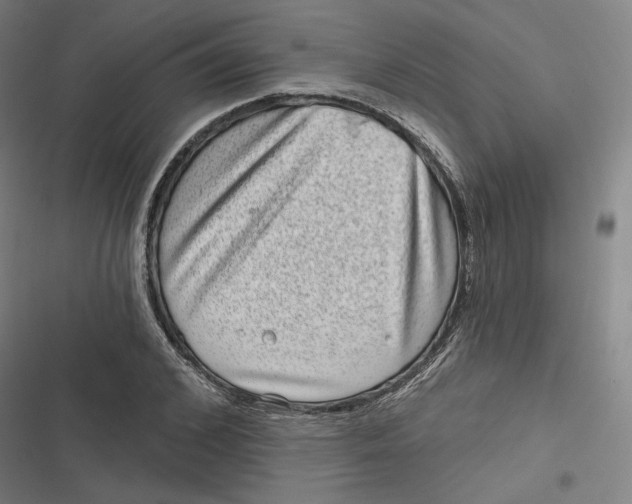 X0000116810976201001081352