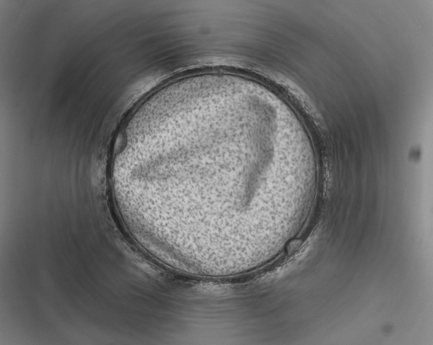 X0000116810977201001081352