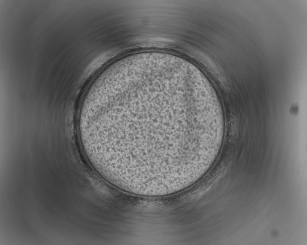 X0000116810978201001081352