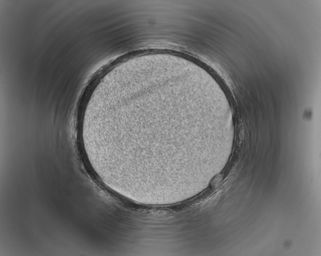 X0000116810979201001081352