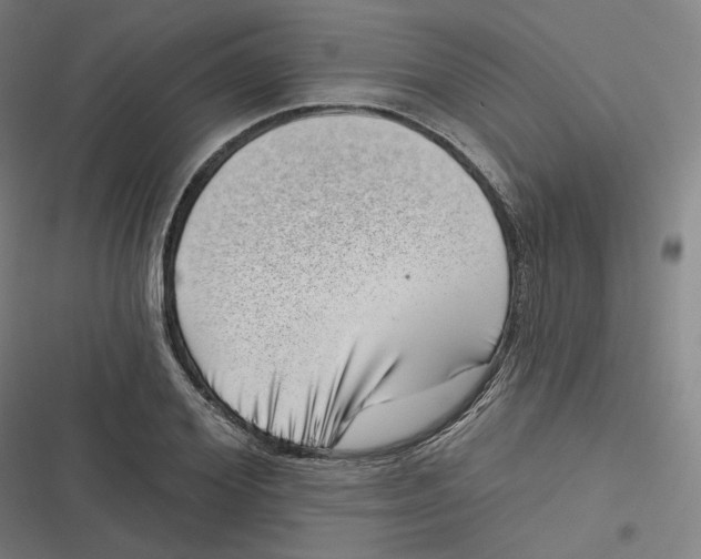 X0000116810980201001081352