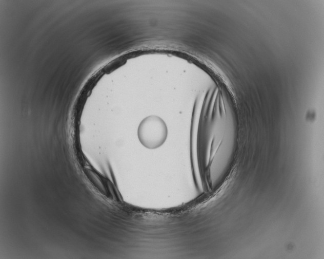 X0000116810981201001081352