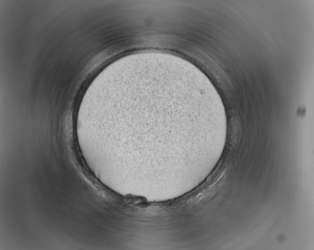 X0000116810982201001081352