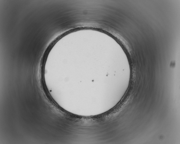 X0000116810983201001081352