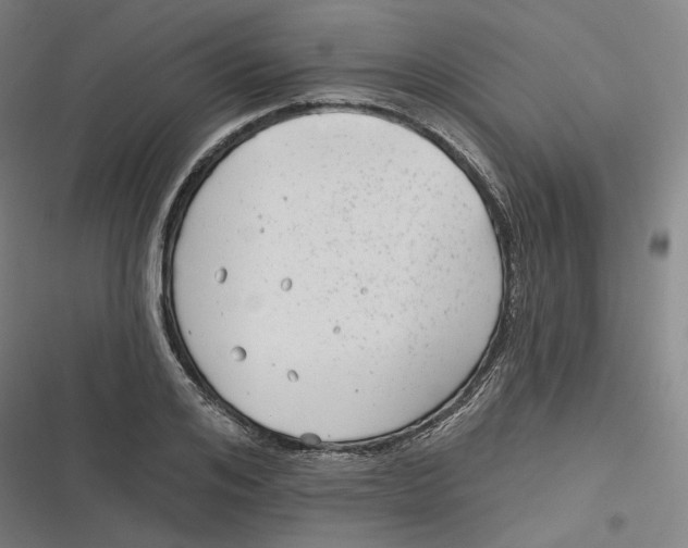 X0000116810984201001081352