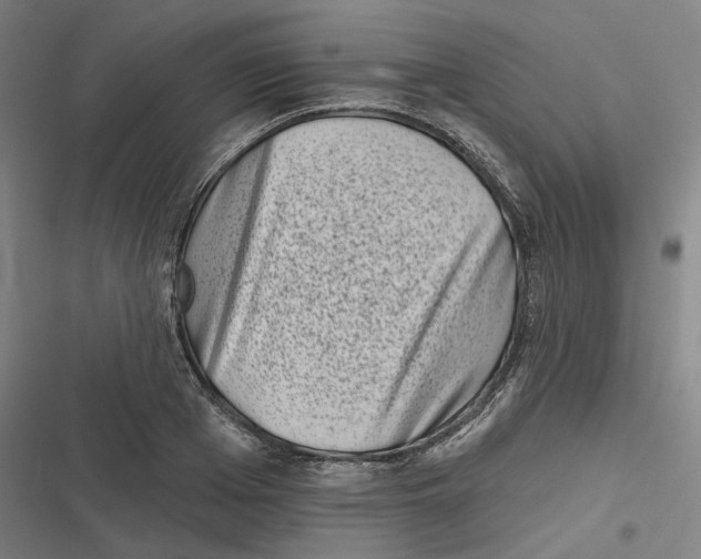 X0000116810985201001081352