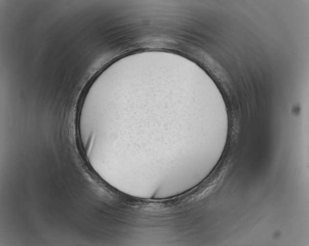 X0000116810986201001081352