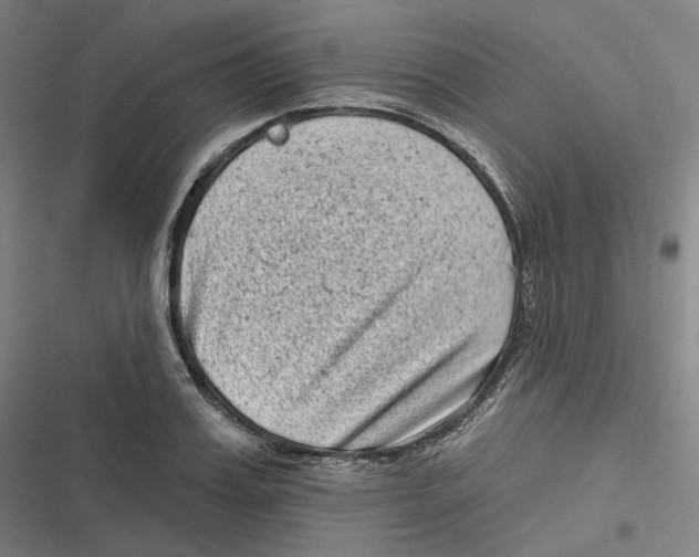 X0000116810987201001081352