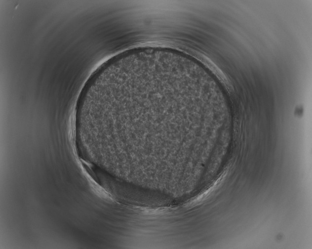 X0000116810988201001081351