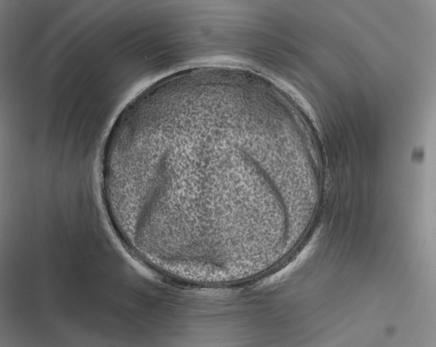 X0000116810989201001081351