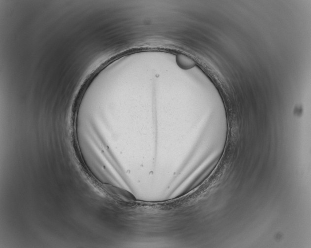 X0000116810990201001081351