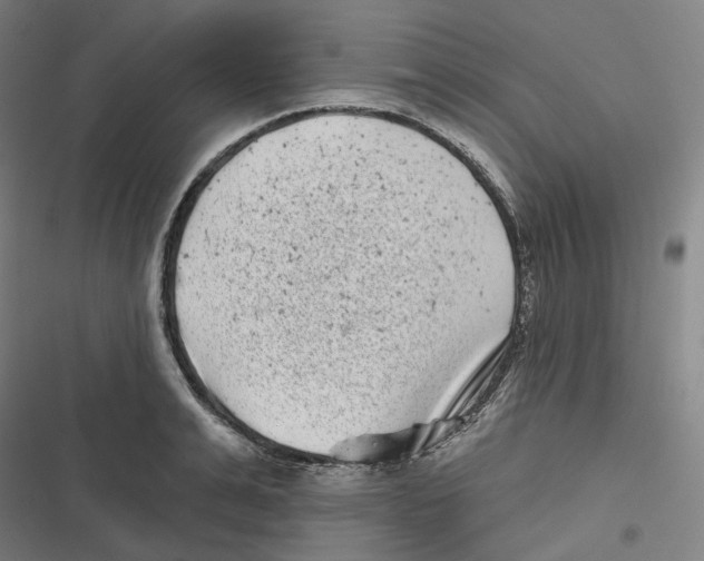 X0000116810991201001081351