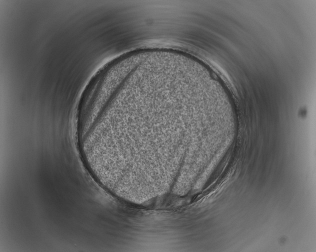 X0000116810992201001081351