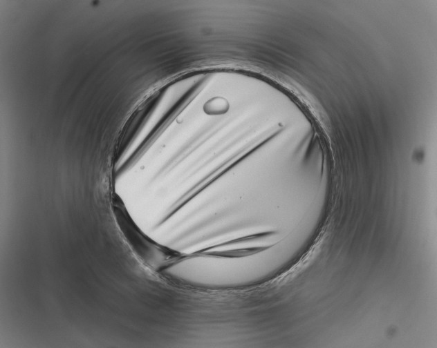 X0000116810993201001081351