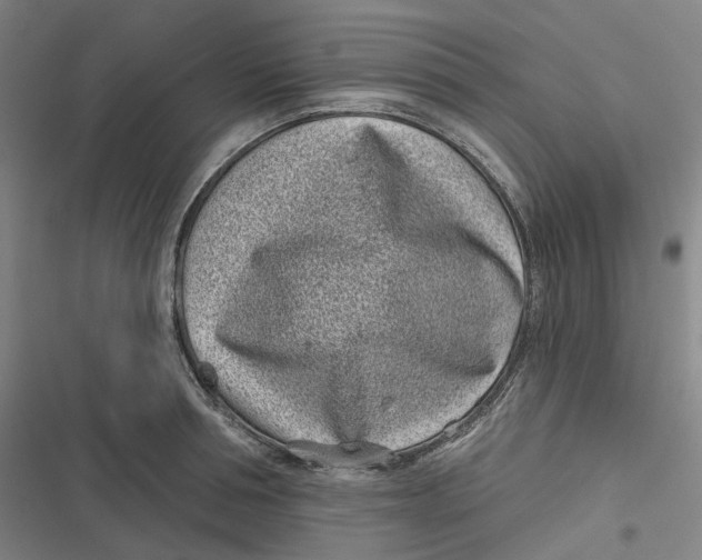 X0000116810994201001081351