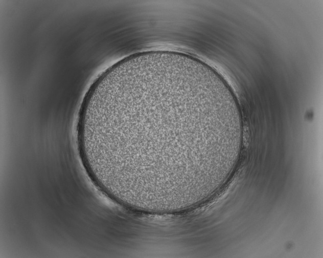 X0000116810995201001081351