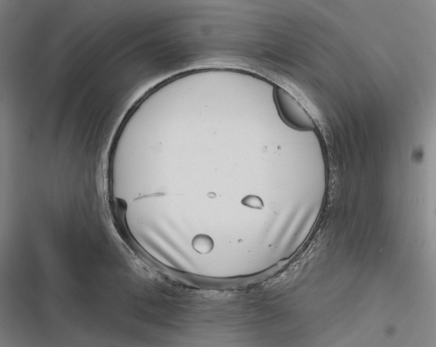 X0000116810996201001081351