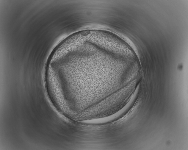 X0000116810997201001081351