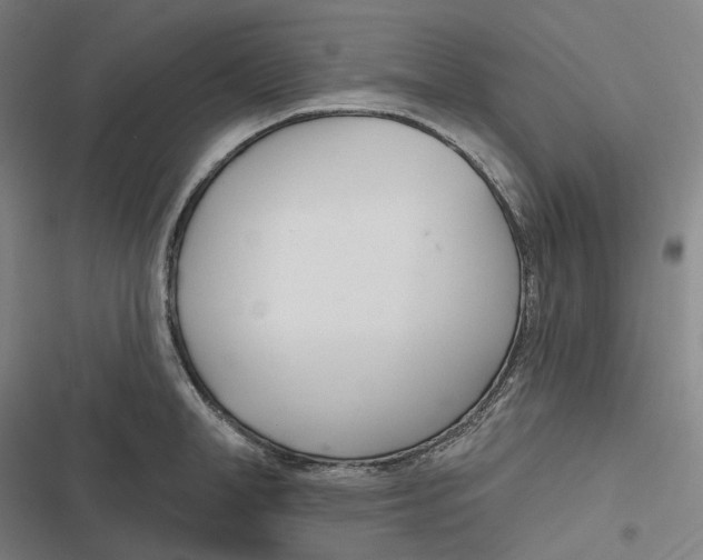 X0000116810998201001081351