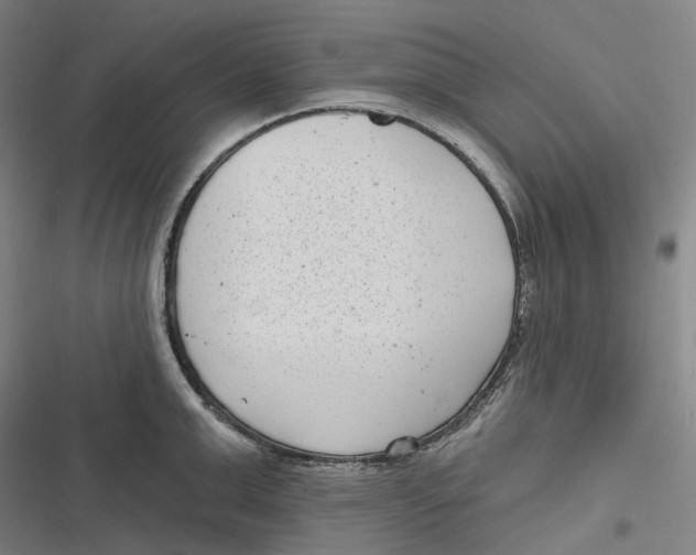 X0000116810999201001081351