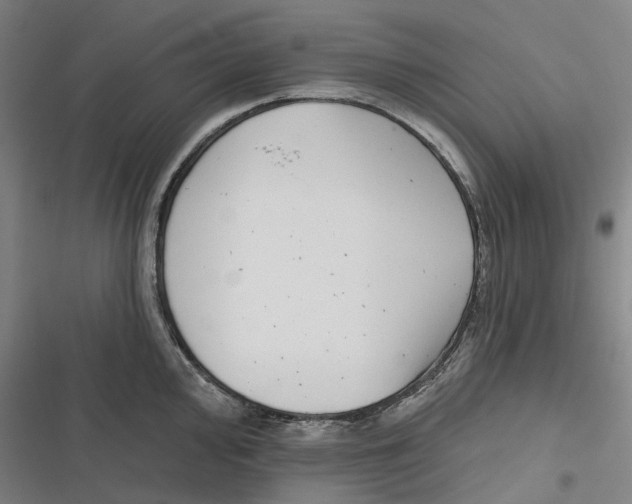 X0000116811000201001081351