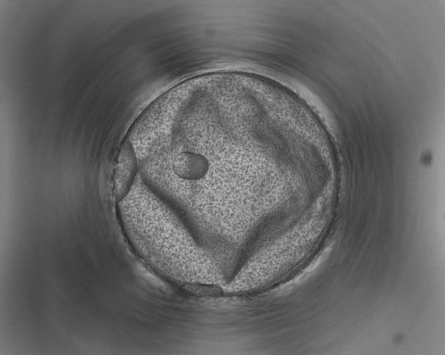 X0000116811001201001081351