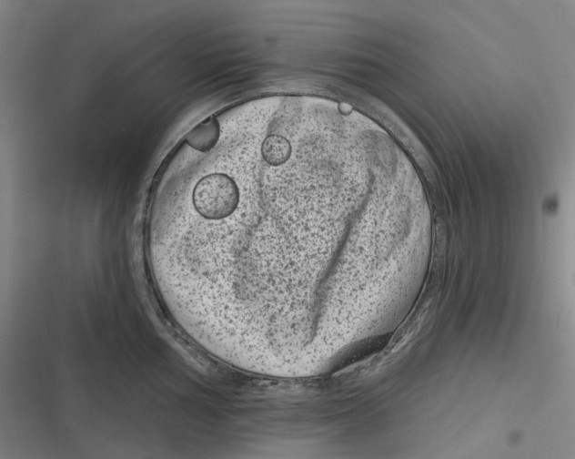 X0000116811002201001081351