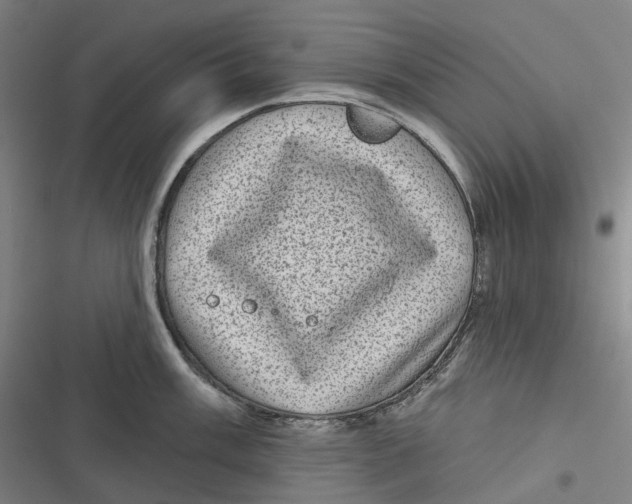 X0000116811003201001081351