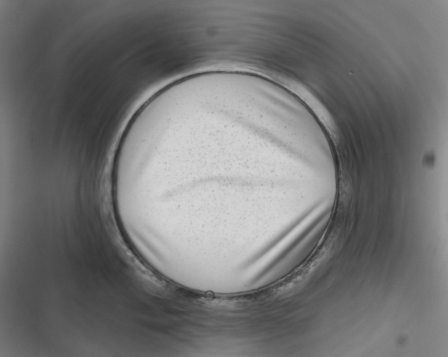 X0000116811004201001081351