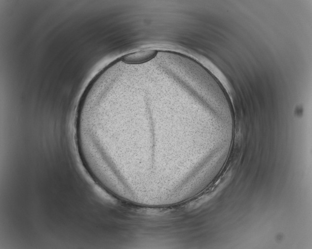 X0000116811005201001081351