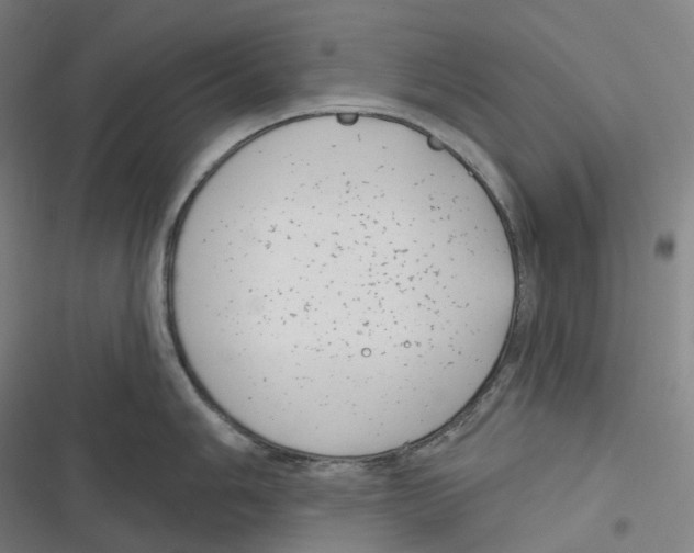 X0000116811006201001081351