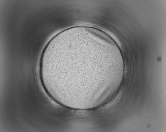 X0000116811007201001081351