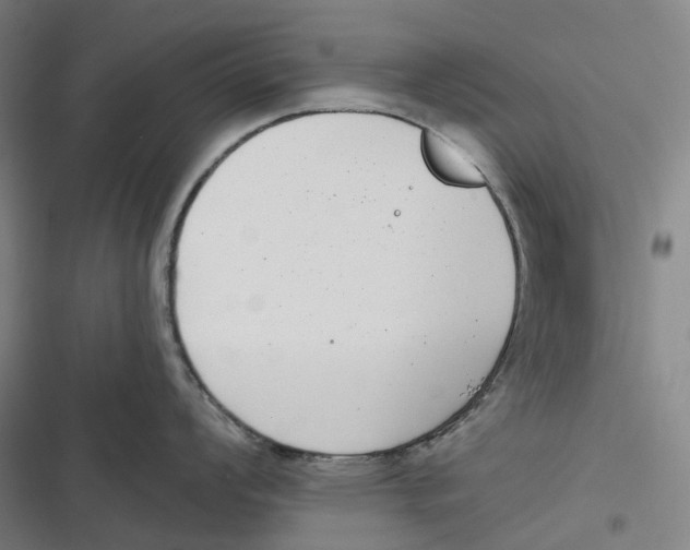 X0000116811008201001081351