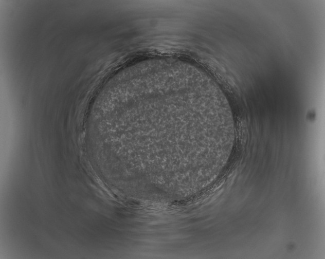 X0000116811009201001081351