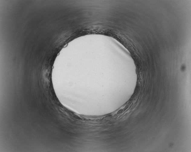 X0000116811010201001081351