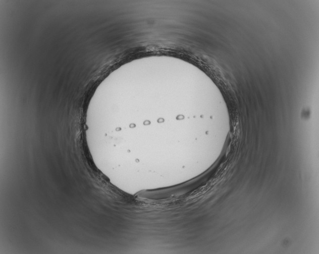 X0000116811012201001081351