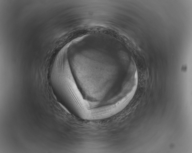 X0000116811013201001081351