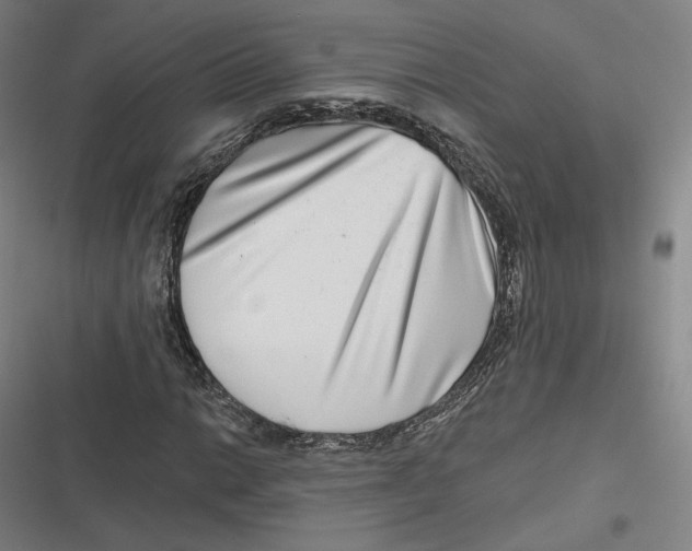 X0000116811014201001081351