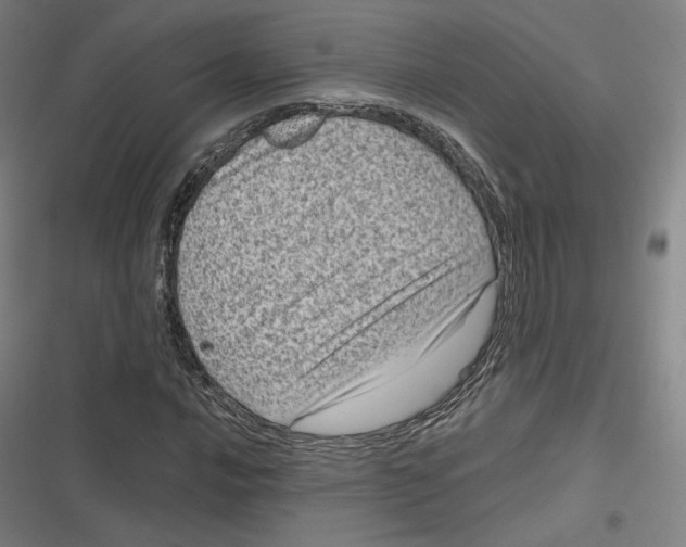 X0000116811016201001081351