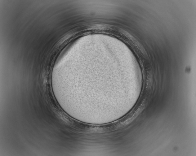 X0000116811017201001081351