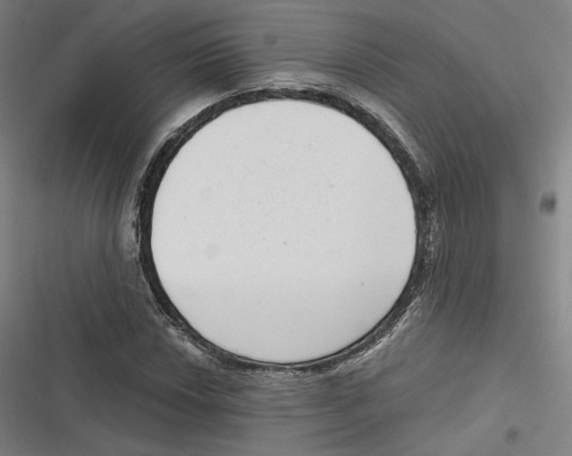 X0000116811018201001081351